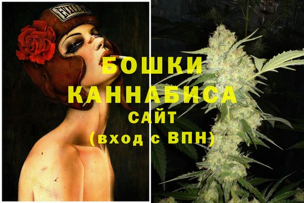 индика Заволжье