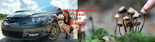 метадон Приозерск