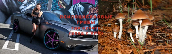 круглые Протвино