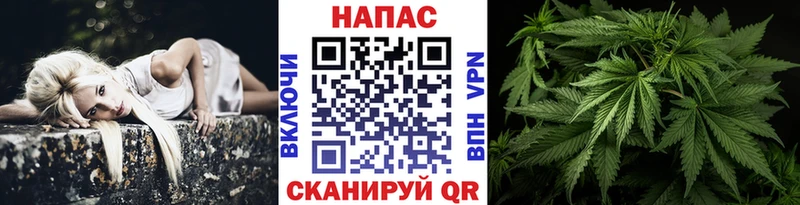 Бошки марихуана индика  Пролетарск 